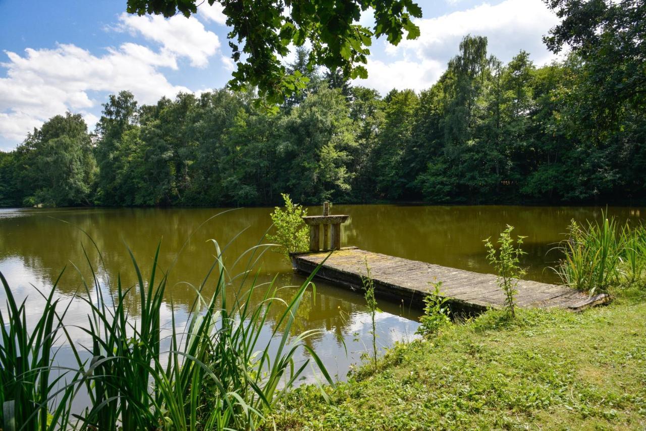 La Genetiere - Grande Maison Avec Etang En Sologne Mery-es-Bois Exteriér fotografie